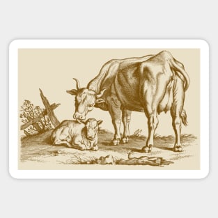 Cow and Calf, Animal Motherhood Scene Vintage Illustration Magnet